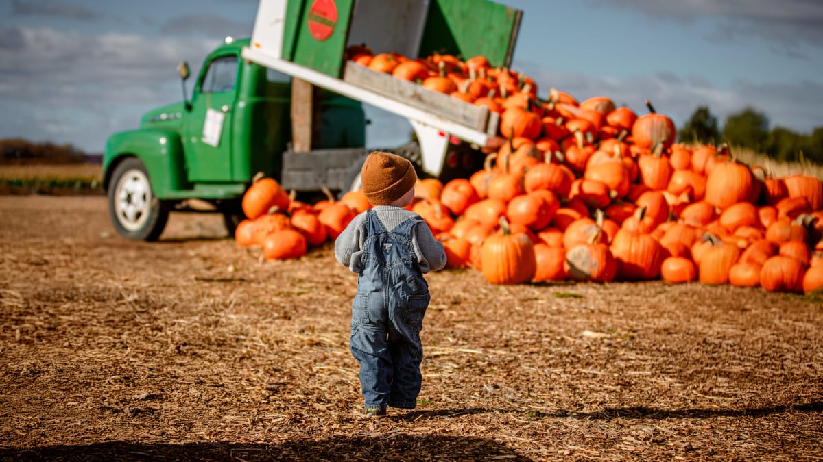 Garçon devant un camion de citrouilles à la Ferme Quinn.