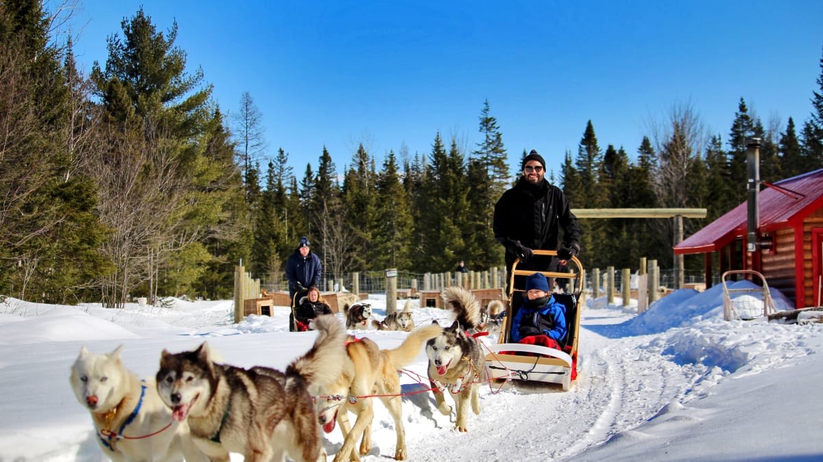 Dogsledding