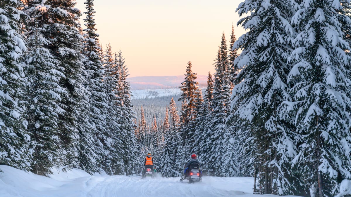 Snowmobilers in a winter landscape in Quebec