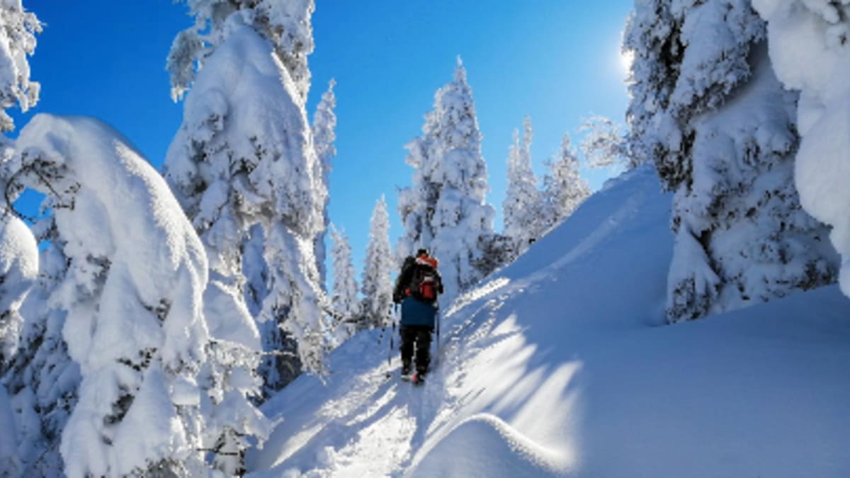 Skier exploring the backcountry
