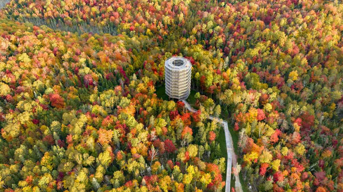Aerial view of the panoramic tower at Sentier des cimes.