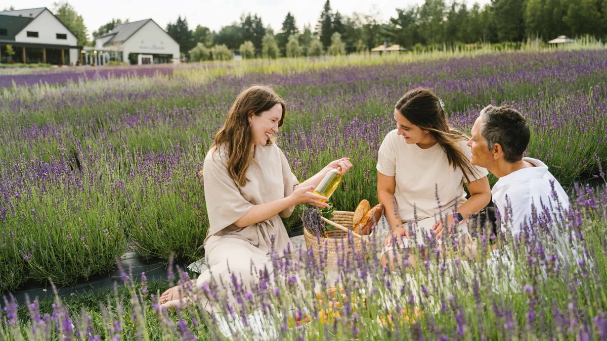 Four smiling women picnicking in the lavender fields.
