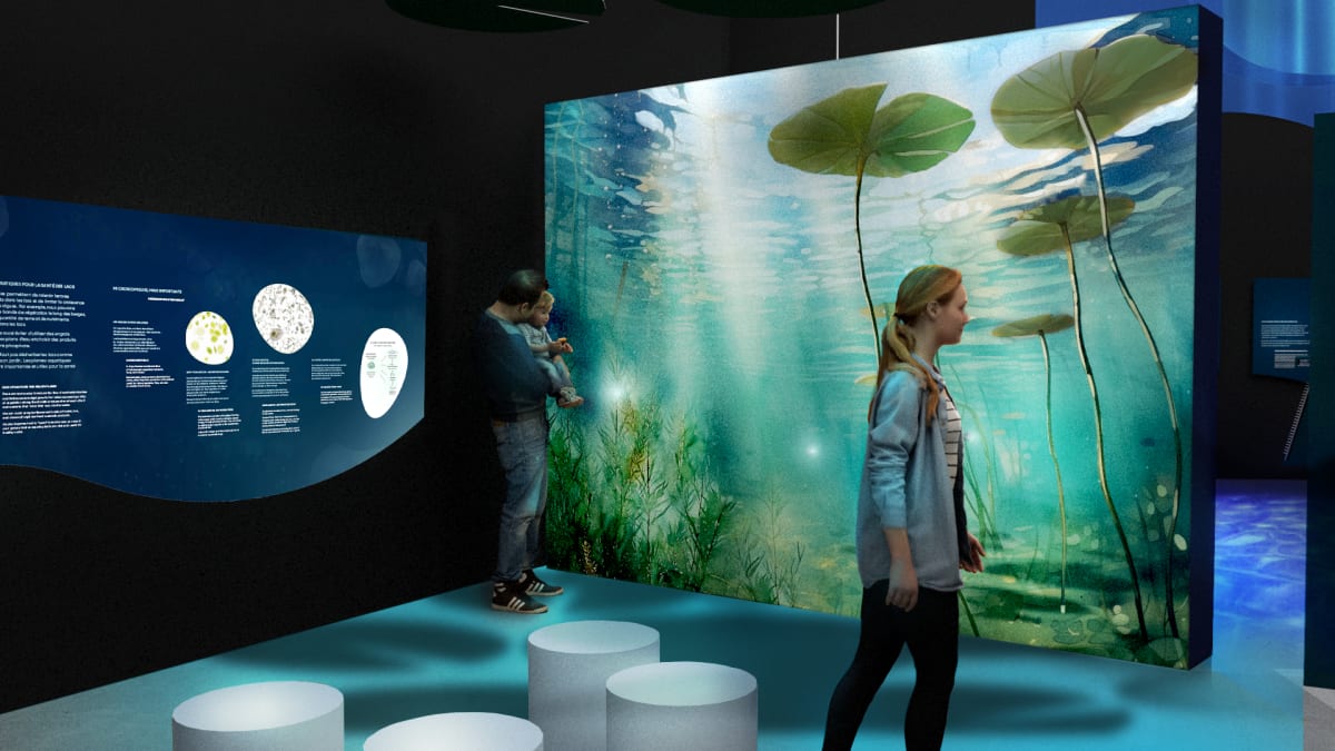The Watersheds exhibit at the BIosphere.
