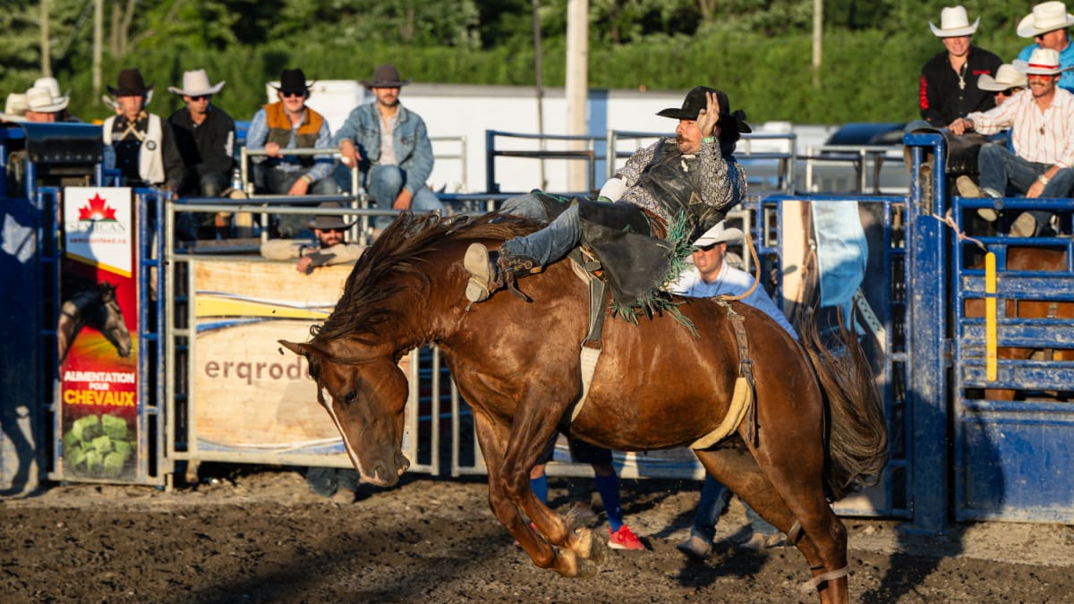 Rodéo à l'expo agricole de St-Hyacinthe.