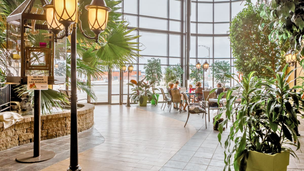 Jardin intérieur et tables à l'Hôtel Ambassadeur.