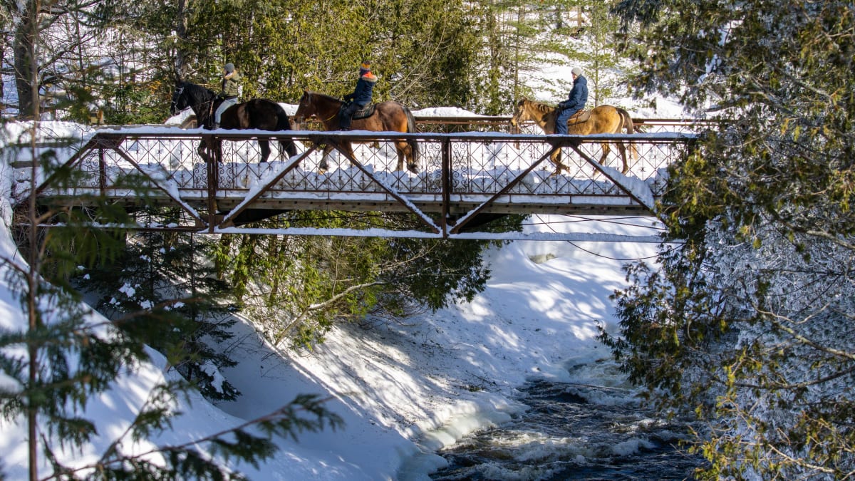 Romantic horseback excursion at Le Baluchon Éco-villégiature