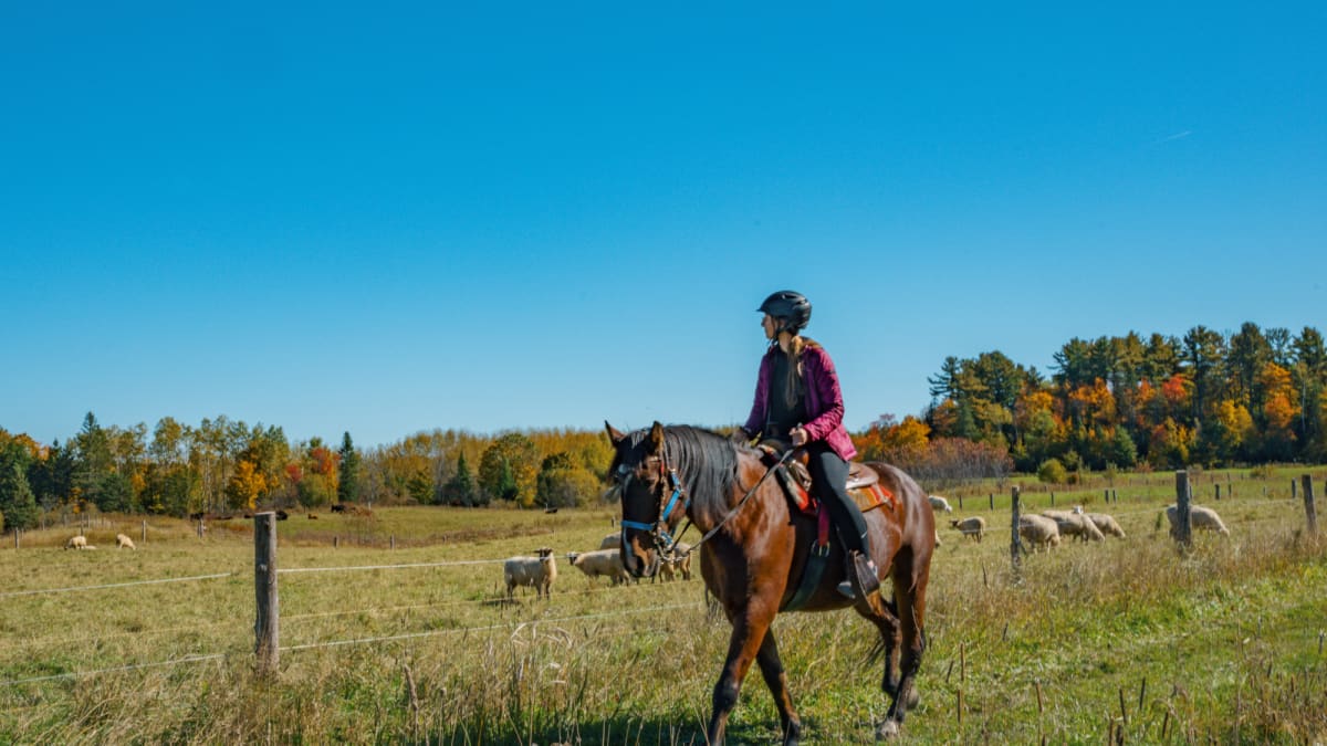 Horse-back rider and her horse admiring the landscape at Le Baluchon Éco-villégiature.