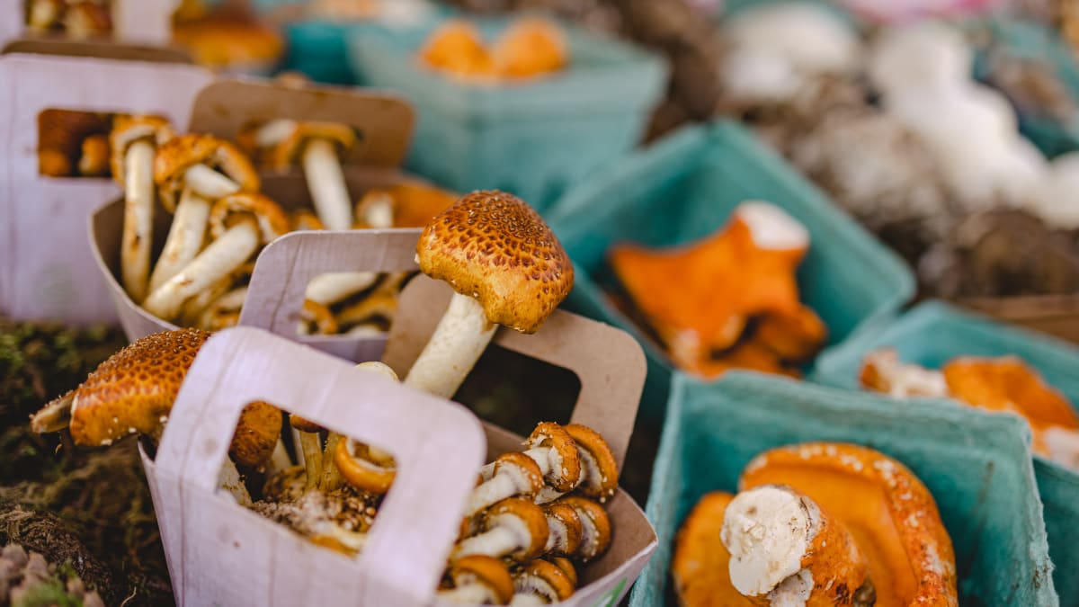 Mushrooms