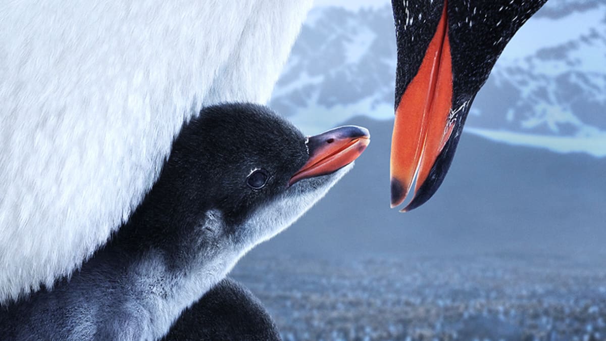 Affiche du film L'Antarctique avec un pingouin adulte et deux pingouins bébés.