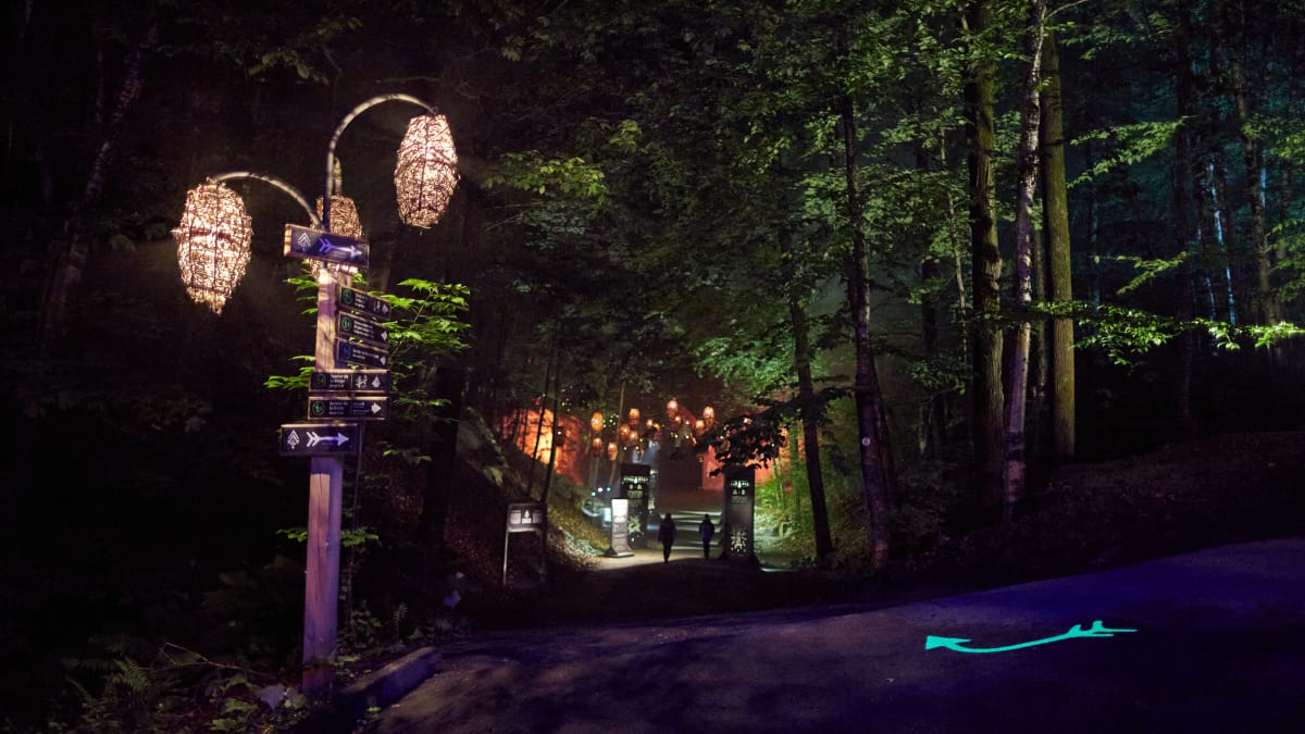 Foresta Lumina