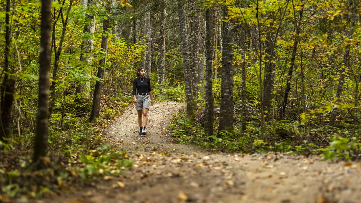 Young woman on a hiking trail in the forest in the fall