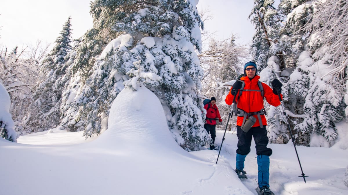 Parc régional Montagne du Diable. Photo credit: Nicolas Aubry