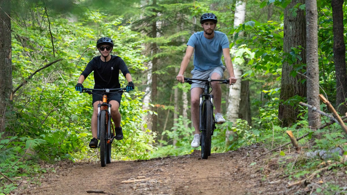 Two people fatbiking in the forest.