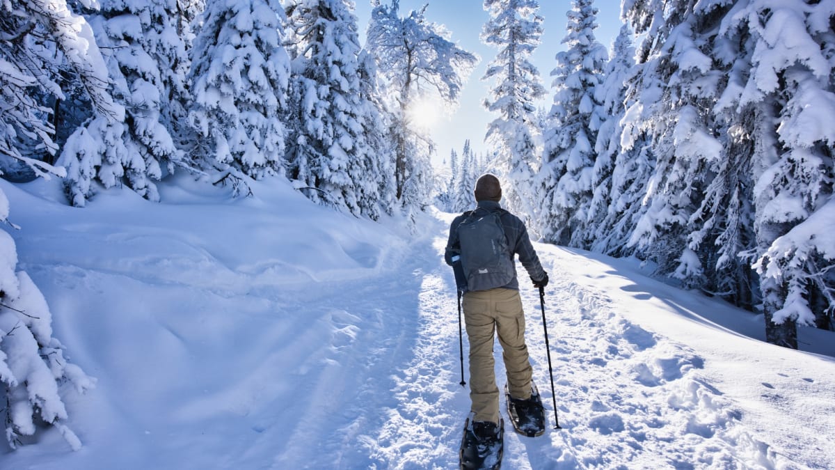 Promenade en raquettes dans le paysage hivernal de la vallée des fantômes au parc national des Monts-Valin
