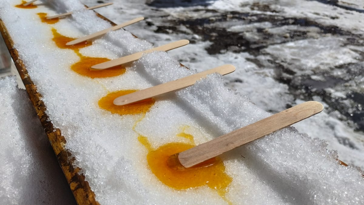 Gros plan sur un alignement de bâtons de tire sur la neige.