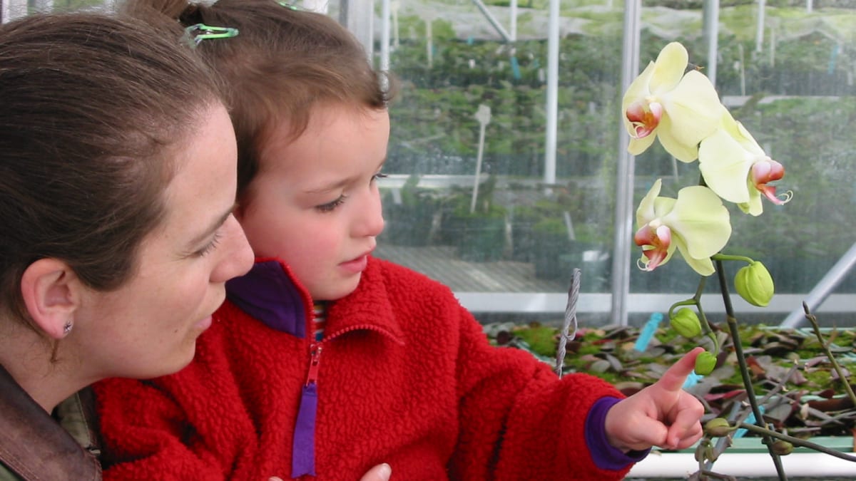 Une mère et sa fille en train de regarder une orchidée.