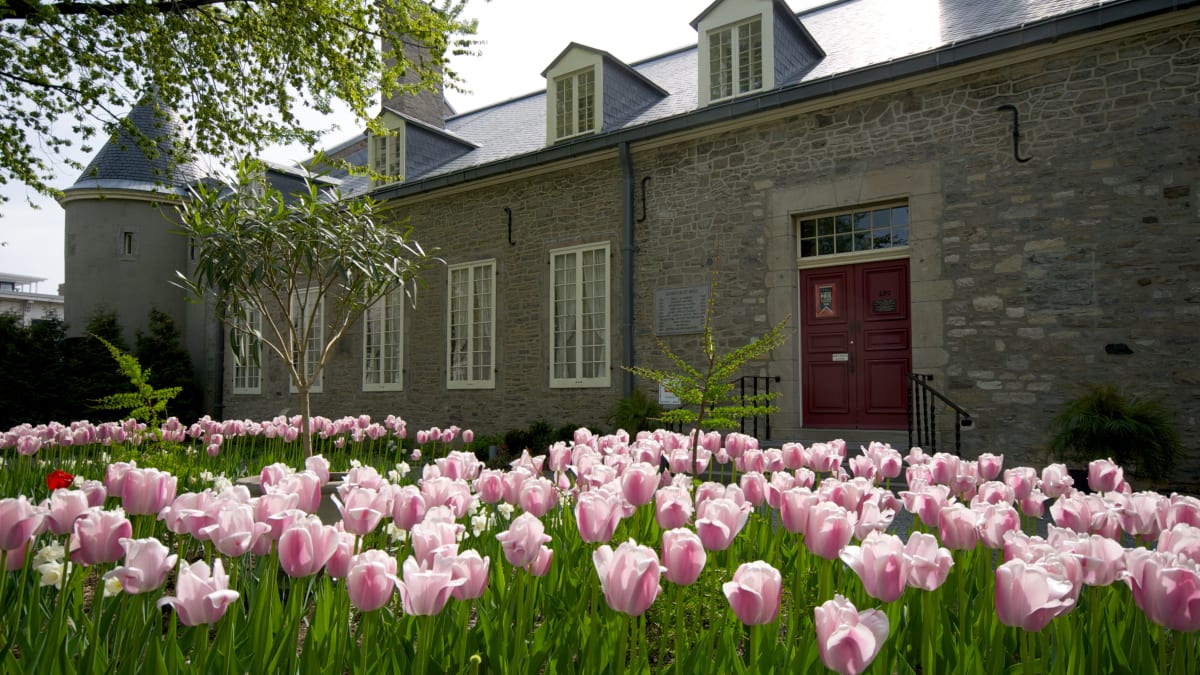 Extérieur d’un musée aux murs en pierre; autour, le sol est couvert de tulipes.