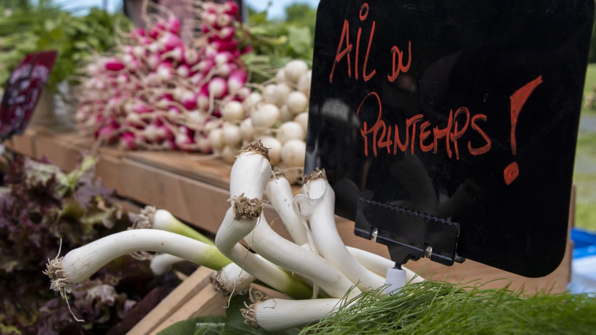 Gros plan d’un étal de marché, avec une affiche qui dit «Ail du printemps!».