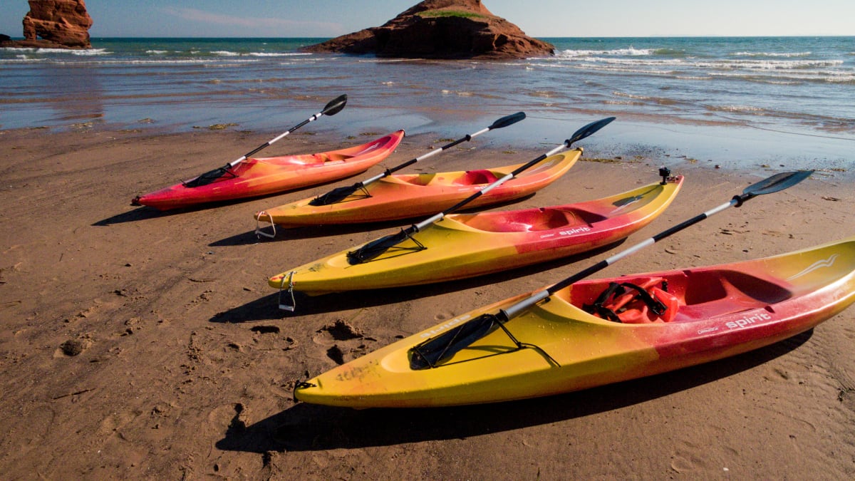 Quatre kayaks alignés sur une plage, avec un vaste plan d’eau à l’horizon.