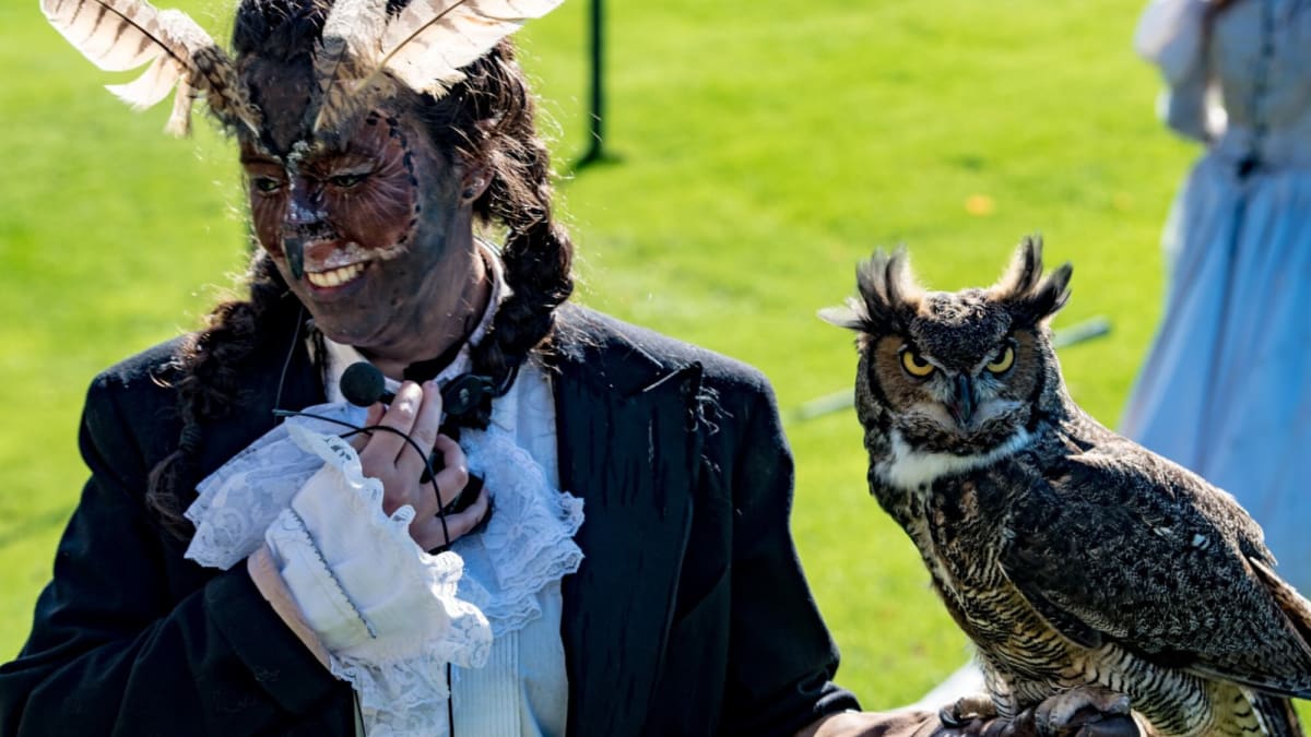 Fête d’Halloween à la Chouette à voir!