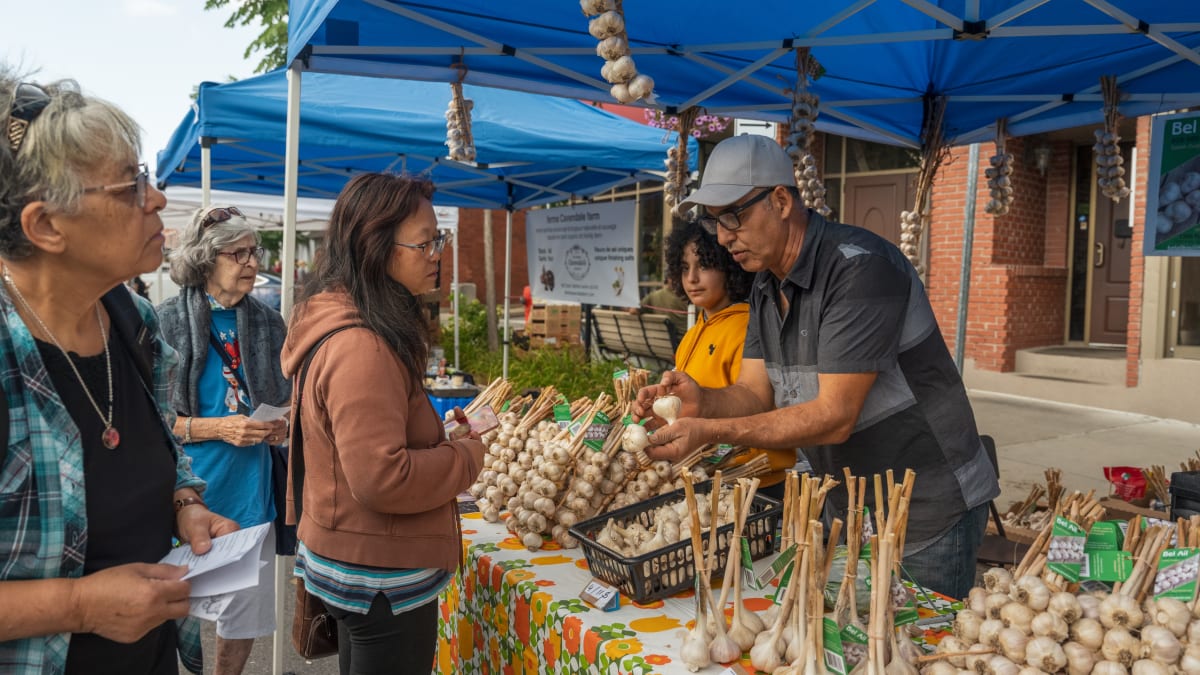 Garlic stand at a market, with vendors and clients discussing.