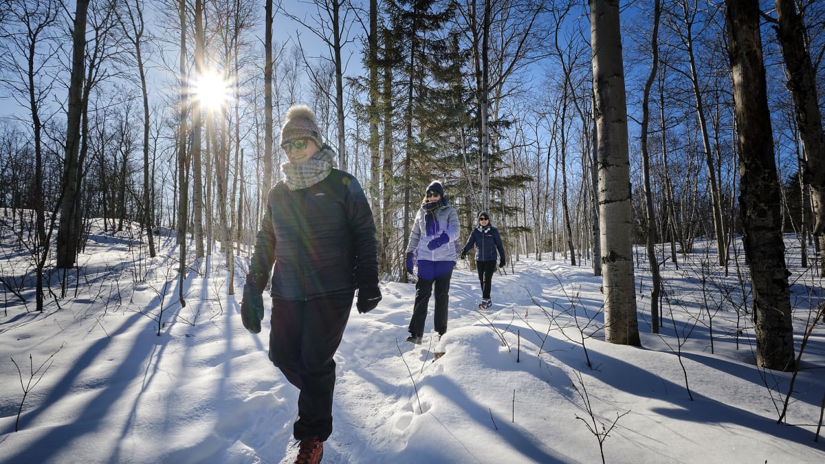3 femmes qui marchent dans un sentier en forêt l'hiver.