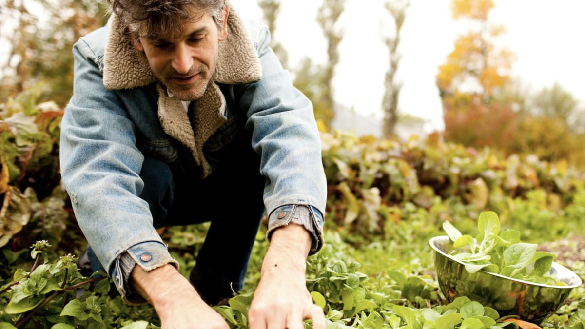 Man picking herbs in a forest