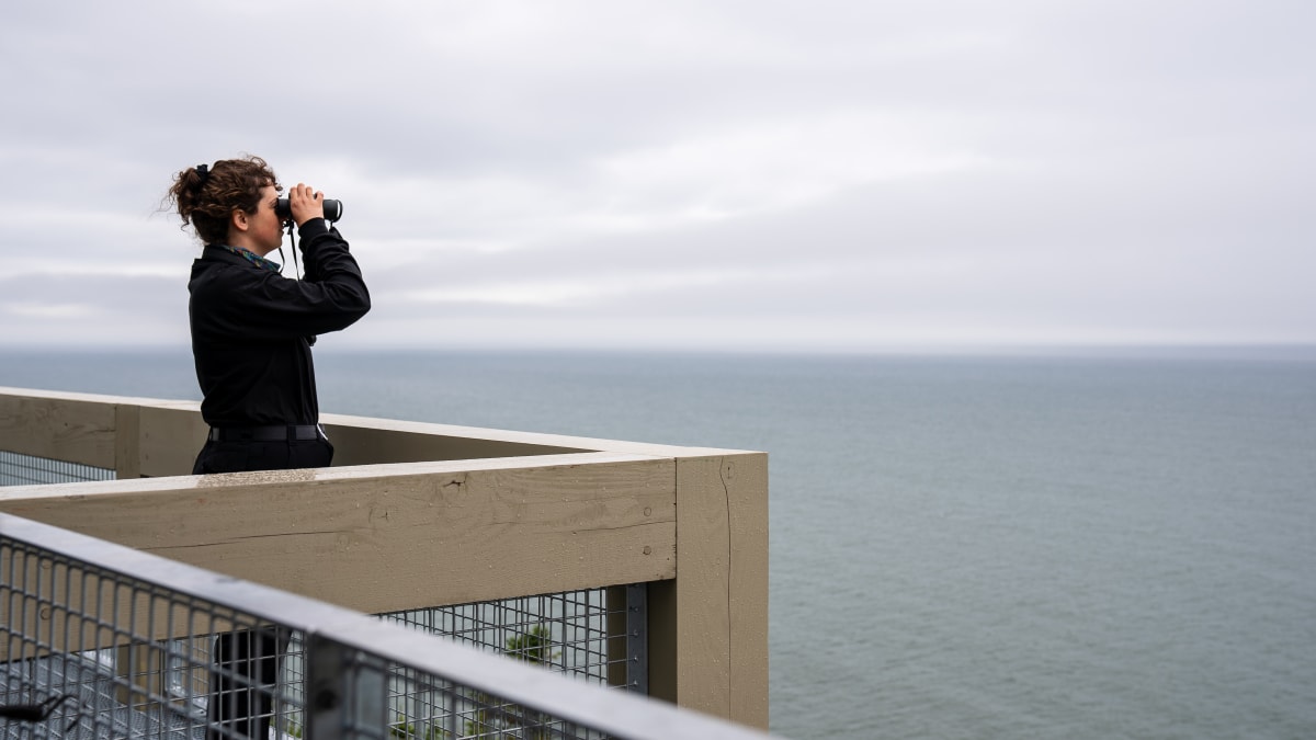Woman watching belugas in Bas-St-Laurent