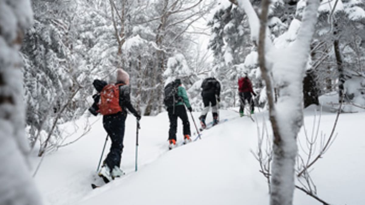 Groupe de randonneurs alpin dans la région Brome-Missisquoi