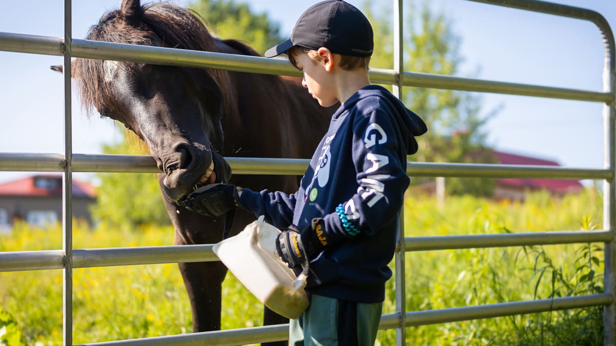 Jeune garçon et cheval noir derrière une clôture.