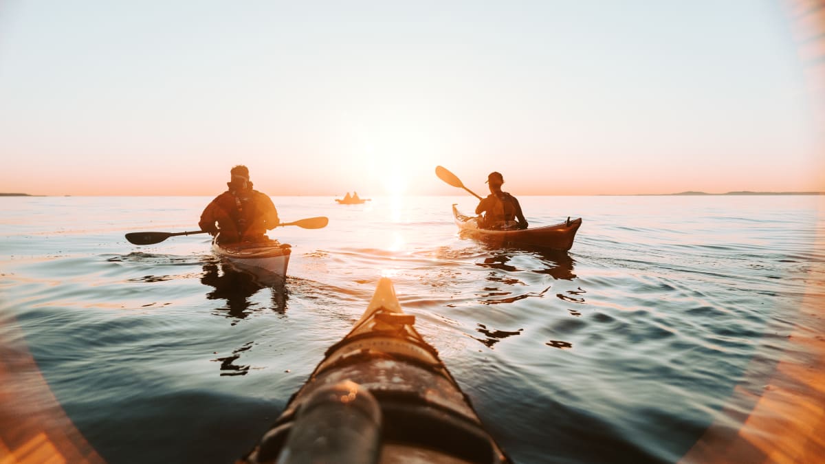Groupe de kayakistes sur le fjord au coucher de soleil.