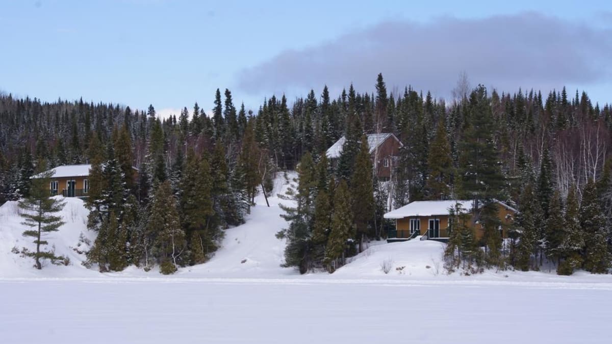 Deux chalets sur la rive dans la Côte-Nord.