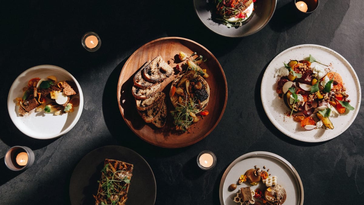 Variété de plats gastronomiques sur fond noir.