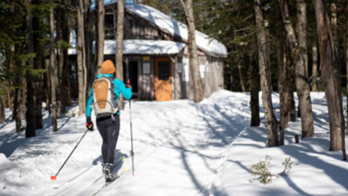 Cross-country skier on a snow-covered trail