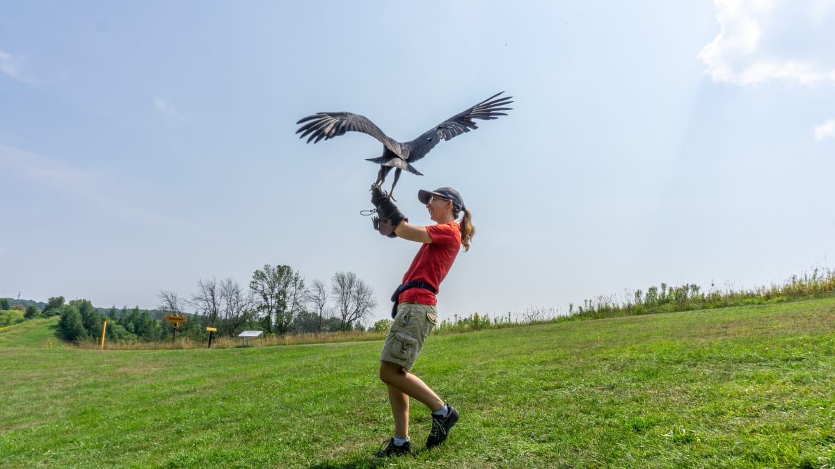 Animatrice avec un oiseau de proie.