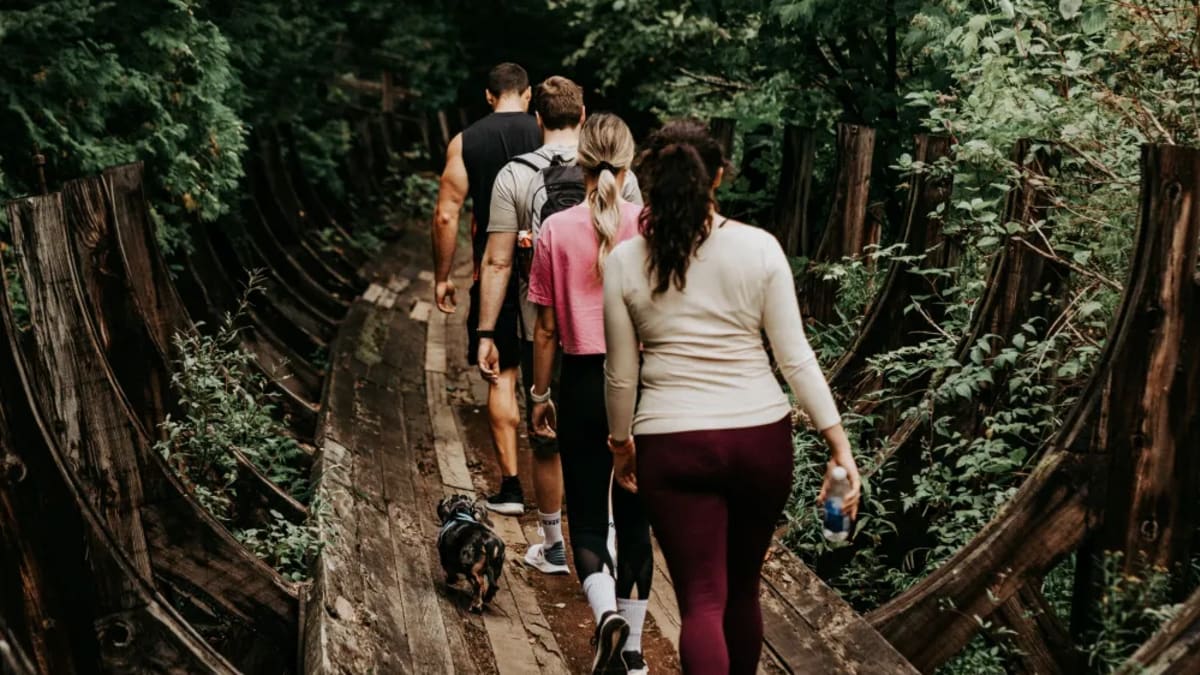 Groupe de personnes en train de marcher sur une vieille structure en bois au cœur de la forêt.