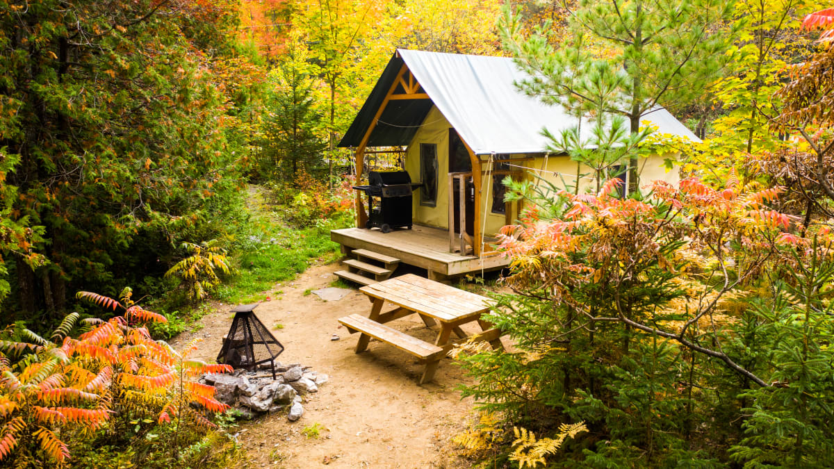 Chalet dans la forêt dans un décor automnal.