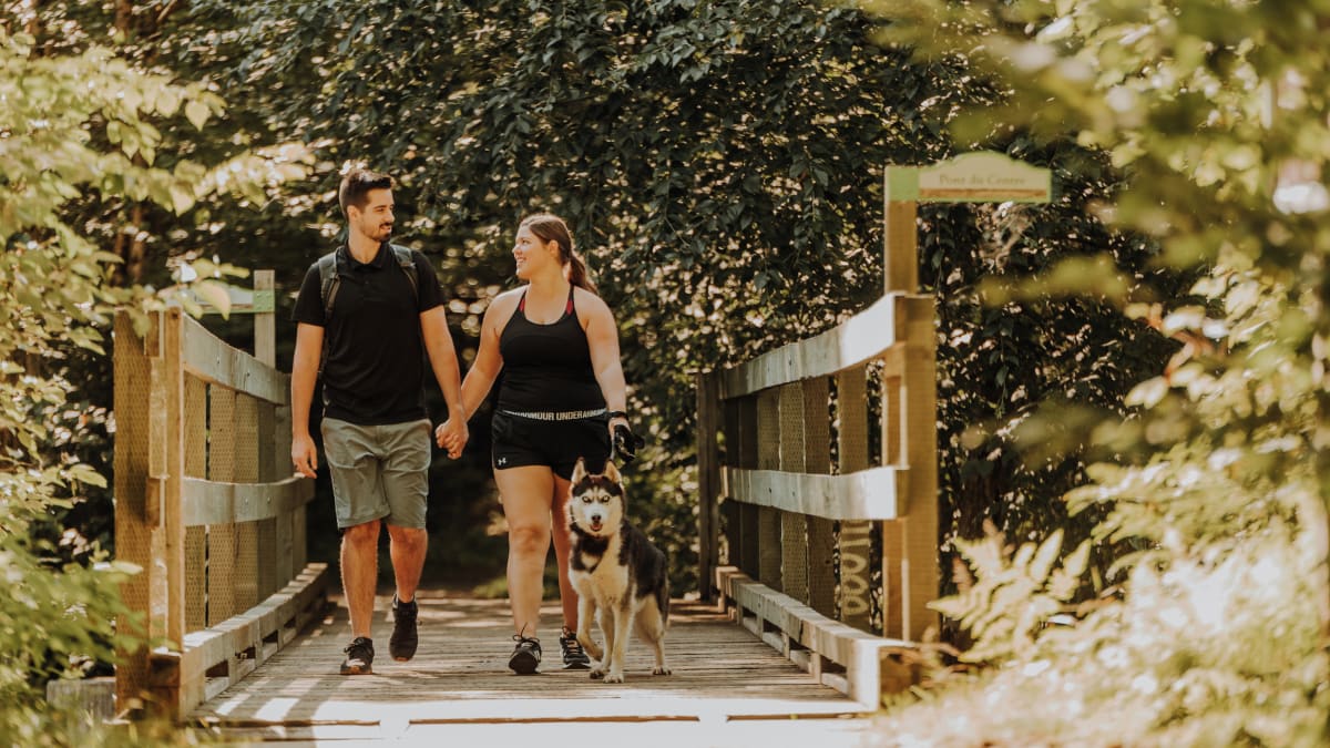 Couple with a dog hiking in a wooded area.