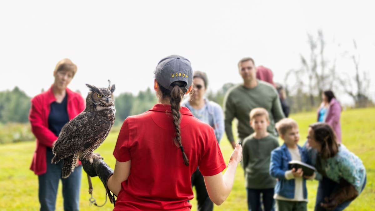 Guide giving a presentation with an owl in front of a few people.