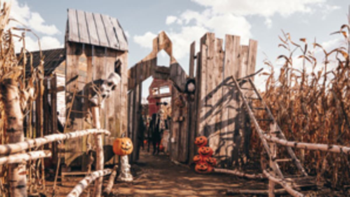 Festiv’Halloween