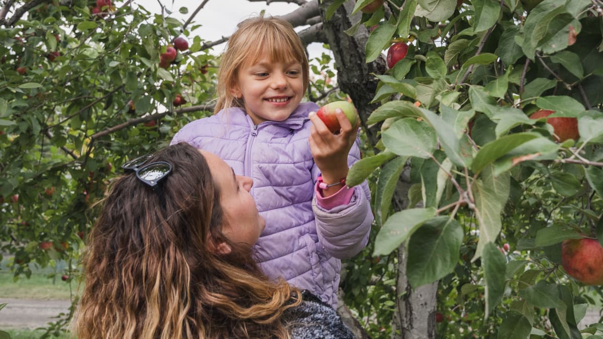 Mère et fille qui cueillent des pommes.