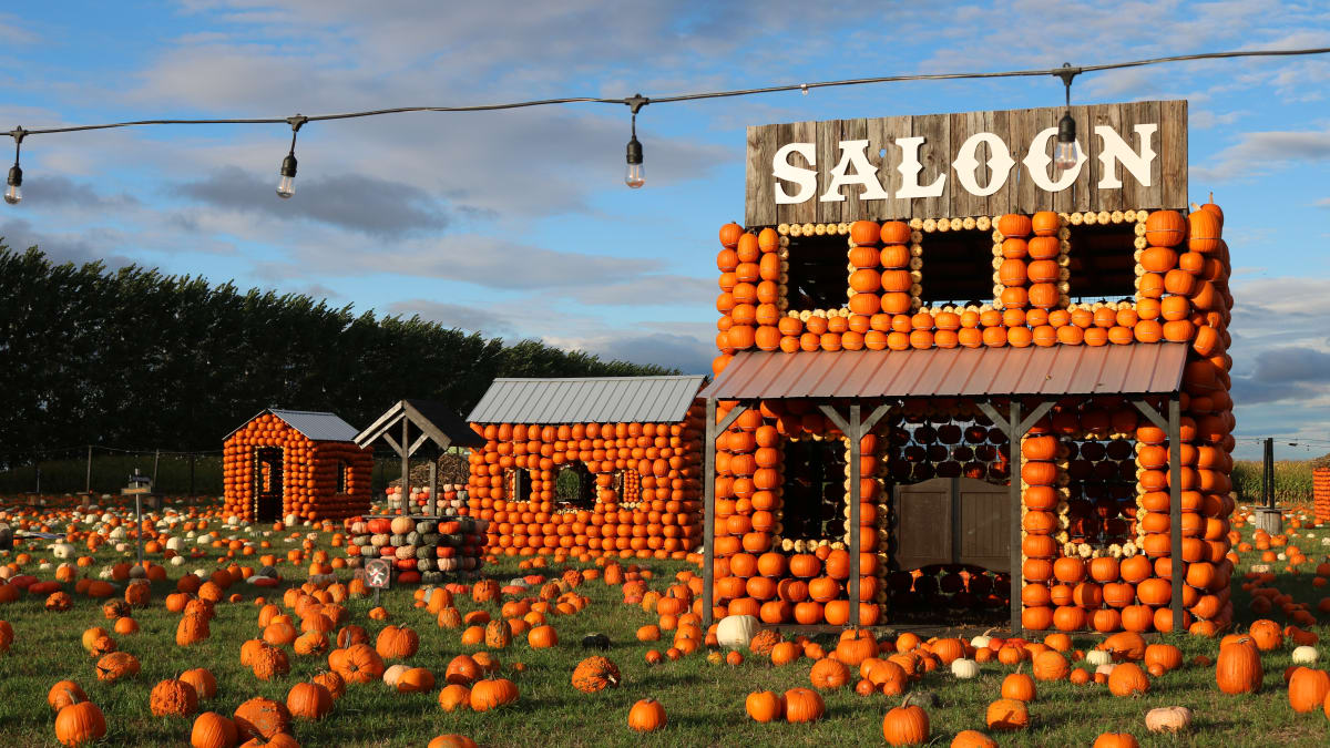 Décor de l'attraction Citrouilleville incluant un saloon construit avec des citrouilles.