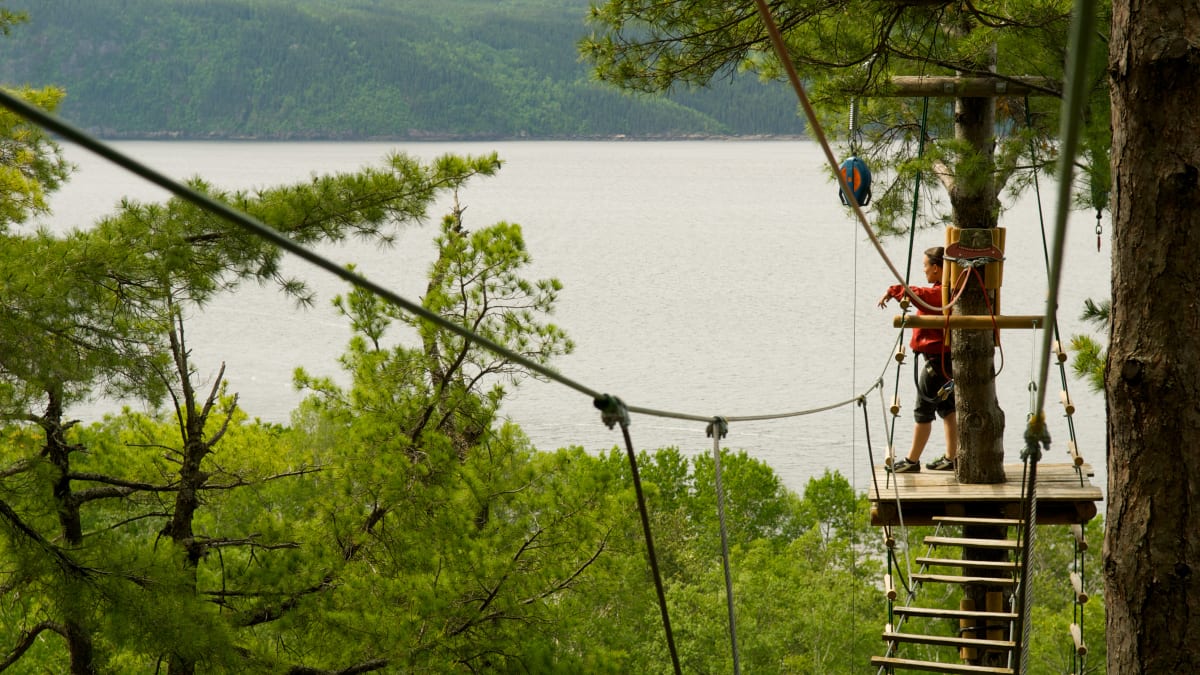 Femme sur une structure d'hébertisme aérien dans les arbres qui admire la vue.