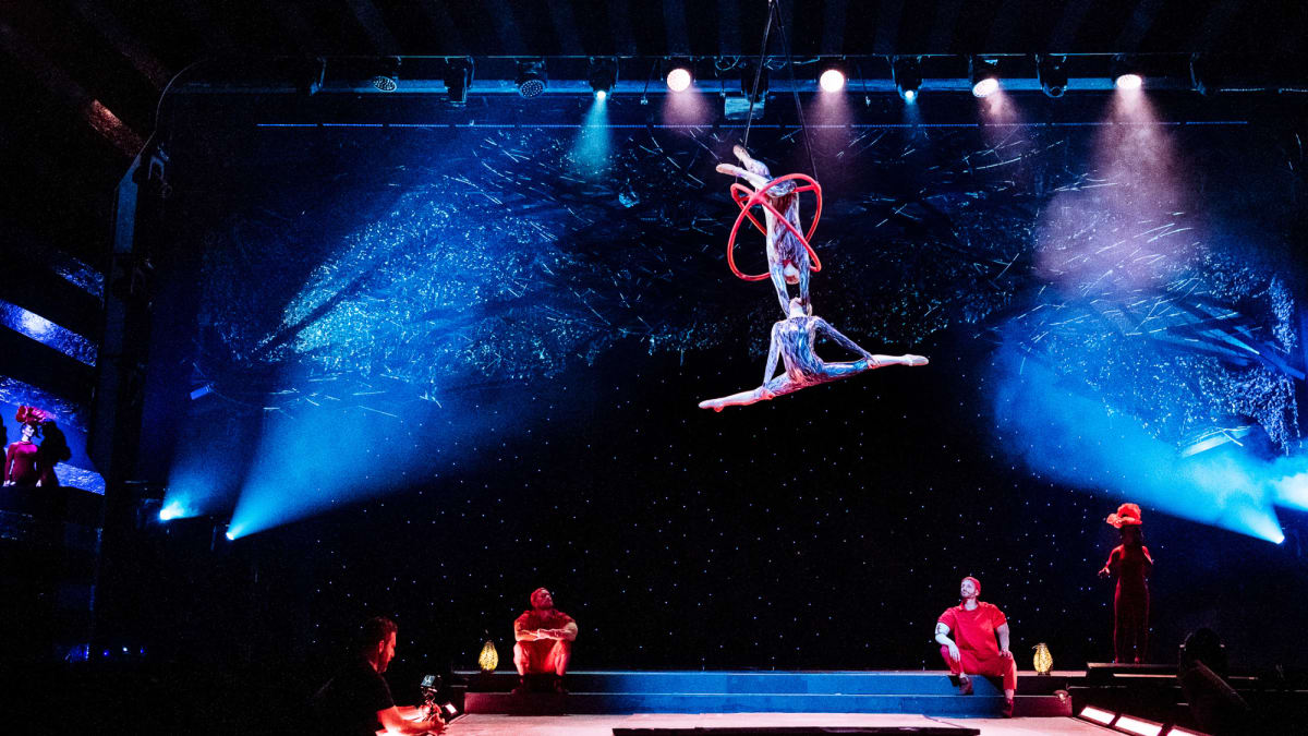Tribute to Cirque du Soleil circus show.