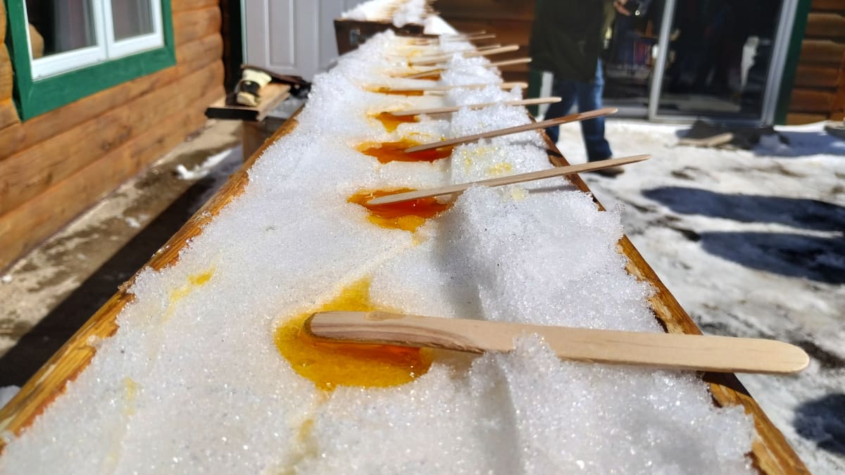 A line of maple taffy sticks on snow.