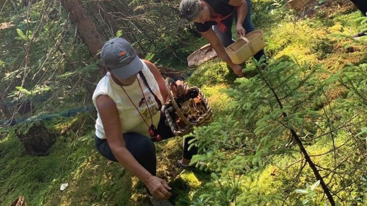 Introduction to Mushroom Foraging.