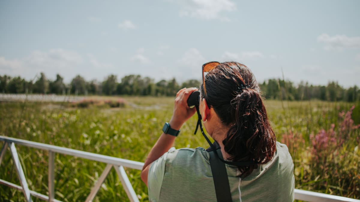 Woman bird-watching in the Plaisance park.