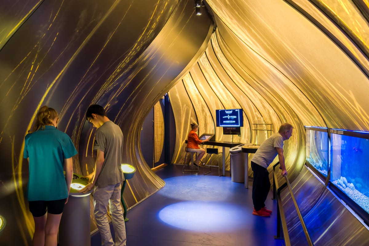 Exposition au Biophare.