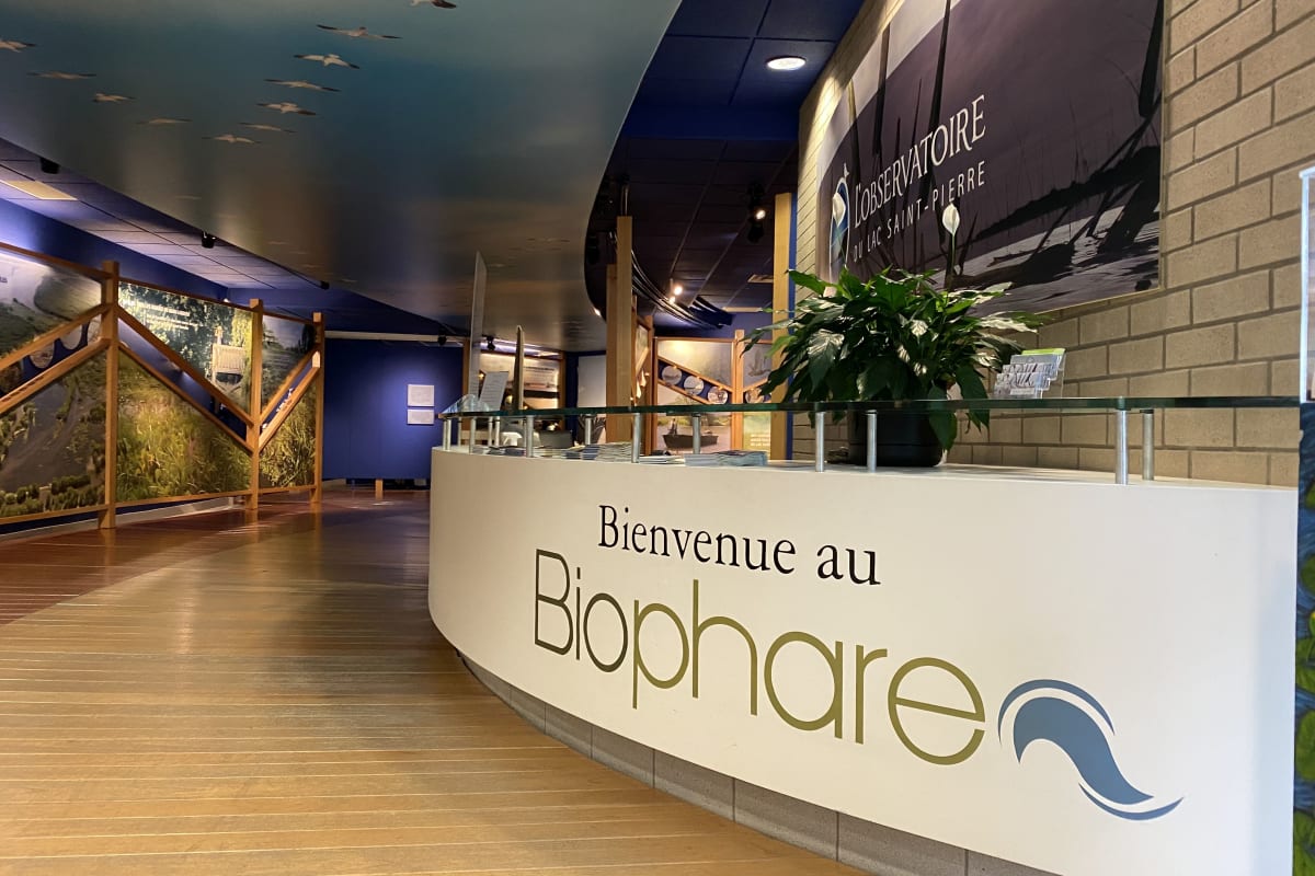 Bureau d'accueil du musée Biophare.