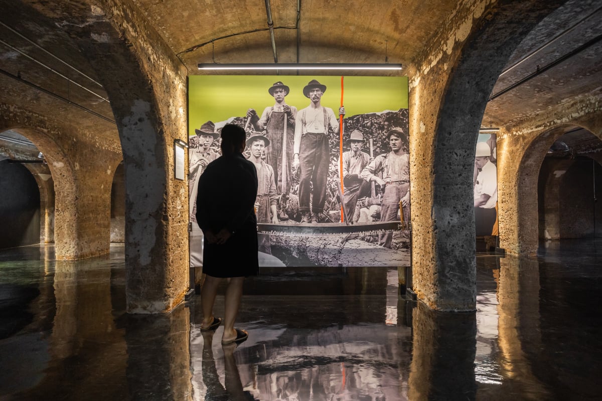 L’exposition Transformations